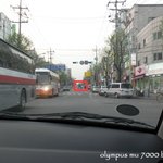<b>양반</b>이 따로 없구만 팔자 핀 멍멍이들