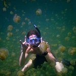 신기한 해파리 호수, <b>벼랑</b>위의 포뇨같아~