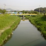 [2009년 1호] 사고조사하는 경찰관들의 주정차가 제2,제3의...
