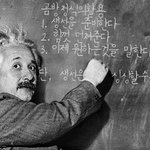 강아지에게 쵸콜릿을 먹이지 마세요...흥미로운 사실들(3가지)