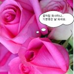 늘~그렇듯이...