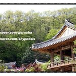 잠재의식과의 대화 (자율훈련법을 통한 자기<b>최면</b>) - (4)