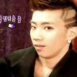 재범쌍커<b>풀</b>