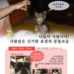 동물들의 <b>재미</b>있는 표정~~!