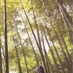 <b>올</b>만에 보는 배용준! 사진찍느라 바쁘시넹-