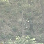 ※경찰증거사진조작?