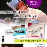 동물들의 귀여운 포즈