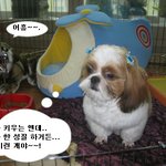일<b>신건</b>(?)-곰팡이 양산(?)하는 아파트.-제3탄-