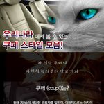 쿠페스타일 <b>자동차</b> 모음~!!!
