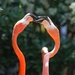 키스, 세상에서 가장 사랑스러운 <b>표현</b>