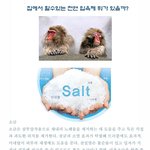 집에서 할수 있는 천연<b>입욕</b>!!