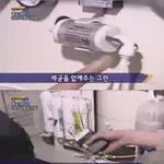 눈가리고 '<b>야옹</b>'
