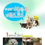 너무나 귀여운 <b>애완</b>동물 베스트