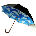 장마철 살균 세탁법! 스팀<b>다리미</b>, 향균 살균기능 세제가 필요해요^^