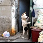 엘리베이터고장으로인한 굴욕...