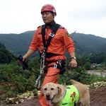 사고현장 7년 누빈 인명구조견 퇴역