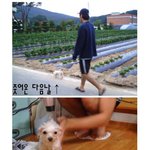 (사진有) 유기견를 주웠는데 수술비가 60만원이래요...