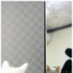 매일 같은 시간 찾아오는 <b>소년</b>