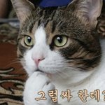 랄랄라누나는 <b>품절</b>女