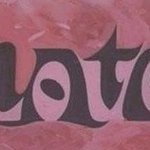 무엇이 보이나요?