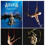 서커스같은 다이어트 방법