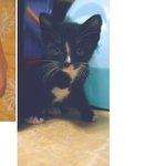 톡에서 만난 우리~ 이렇게 사랑하고 있어요.^^*(사진有)