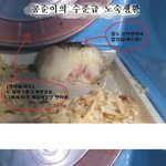 그녀석의 일상(나름 사는얘기가 되겠군요)