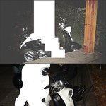 1년동안 정들었던 애마를 도둑맞았어요