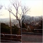 아놔 ㅡㅡ..혜화 <b>or</b> 근처사는 분들 제발쫌!!!!!!