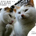 해병대 면접관들을 폭소하게 만든 나.★