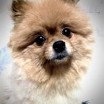 (도와주세요) 얼마전 유선종양으로 글을 올렸었어요