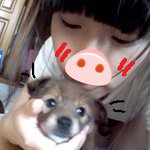 (사진有)조금 특별한 우리 강아지 곰팅이~^*^