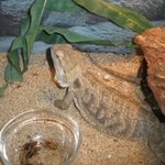 (사진有)<b>동물원</b>엘 다녀왔어요~