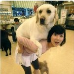 '미수다' 사유리 엽기 사진, 더 업그레이드!