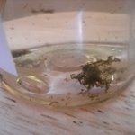 [사진有]에*팀 데오드란트 이물질<b>생성</b>