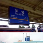 (사진有) 혼자 전남 보성녹차밭에 다녀왔어요~ ㅋ