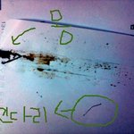 (사진有)바퀴벌레를 통째로 프린터했어요