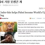 내일 군대 갑니다...