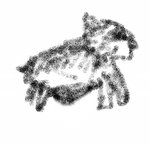 3살 아래 강아지