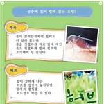 살충제 안쓰고 벌레 잡는 <b>요령</b>~!!!