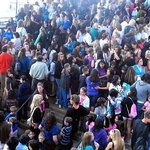 조나스브라더스 콘서트에서 원더걸스 봤어요! (사진有)