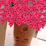 (사진有)저와 뗄수없는 스타일리쉬한 친구를 소개합니다.