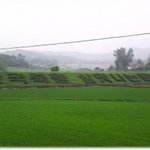 [사진有] 어디론가 훌쩍 떠나고 싶어 저지른일!