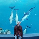 꽃남 <b>김준</b>, 과거 돌고래도 반했던 미모!