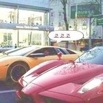 5번째 사진 <b>엔초</b>는..