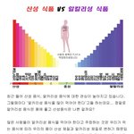 <b>내</b><b>몸</b>에 맞는 음식은?