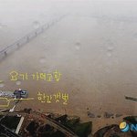 한강에서 <b>사서</b>고생한 고삼들