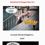 ★ 올레!! 공포영화가 <b>진화</b>한다.