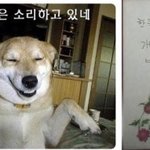 이름 이거 특이하지 않나요?