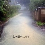 사진有 비오는날 신발한짝만 신고 돌아다녔어요...